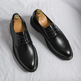 Roelof | Elegante Nette Veterschoenen